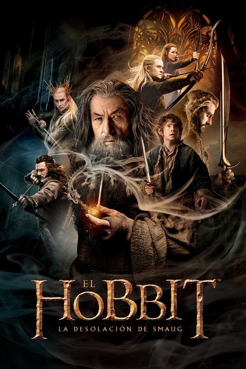 Póster de El hobbit: La desolación de Smaug