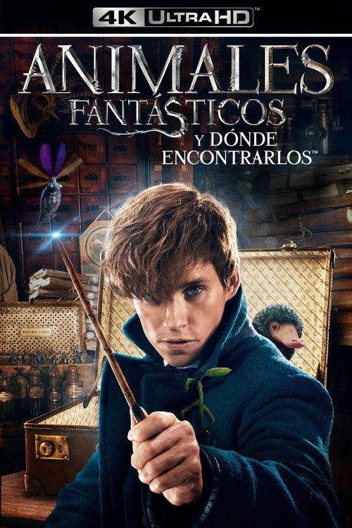 Póster de Animales fantásticos y dónde encontrarlos