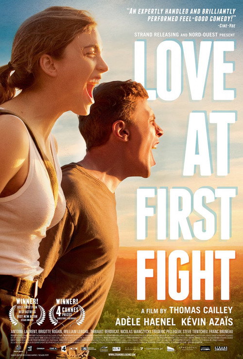 Poster of Love at First Fight